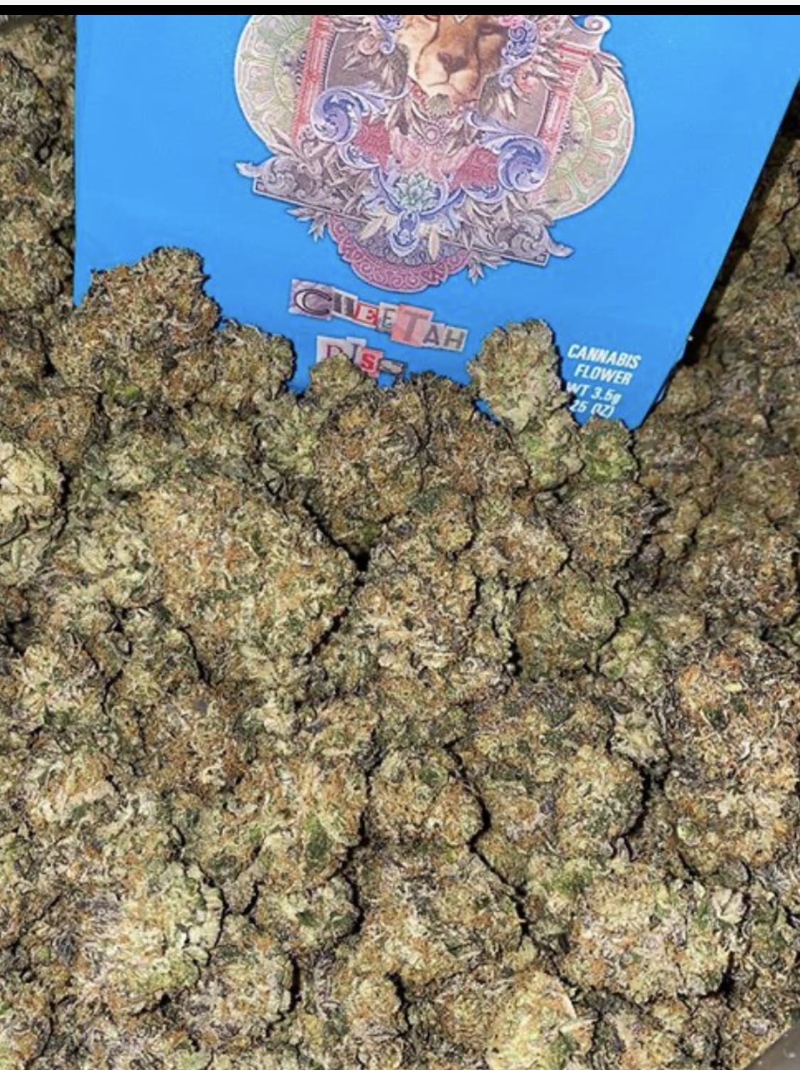 Buy Cheetah Piss Cannabis Flower - Shop Dispensary Recreational | Weed