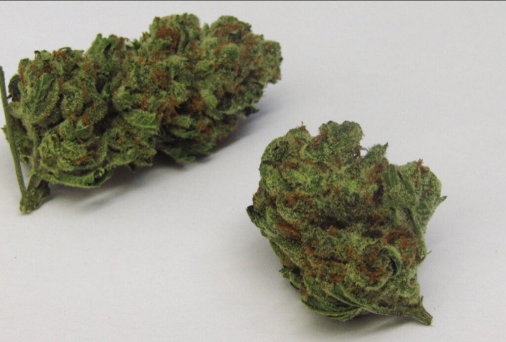Buy Dirty Harry Cookies Strain Medical Marijuana Dispensaries Near Me