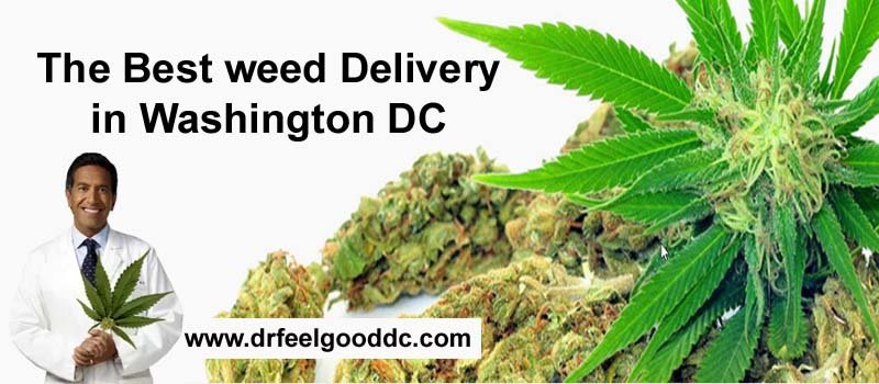 The Best weed Delivery in Washington DC