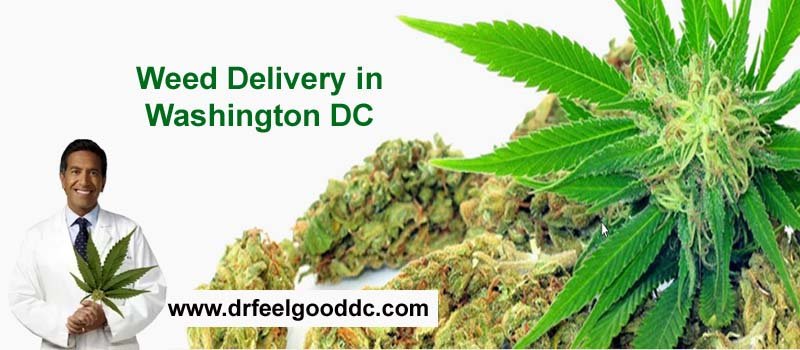 Weed Delivery in Washington DC - weed dispensary ocean city maryland